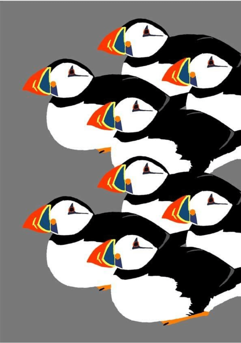 Puffins Card