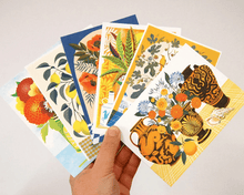 Load image into Gallery viewer, Postcard set -Botanicals 2
