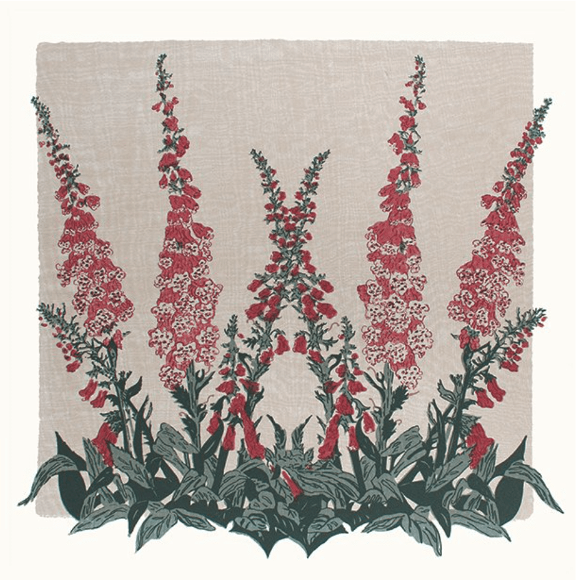 Foxgloves Card