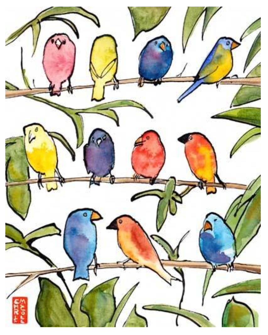 Colourful birds Print A4