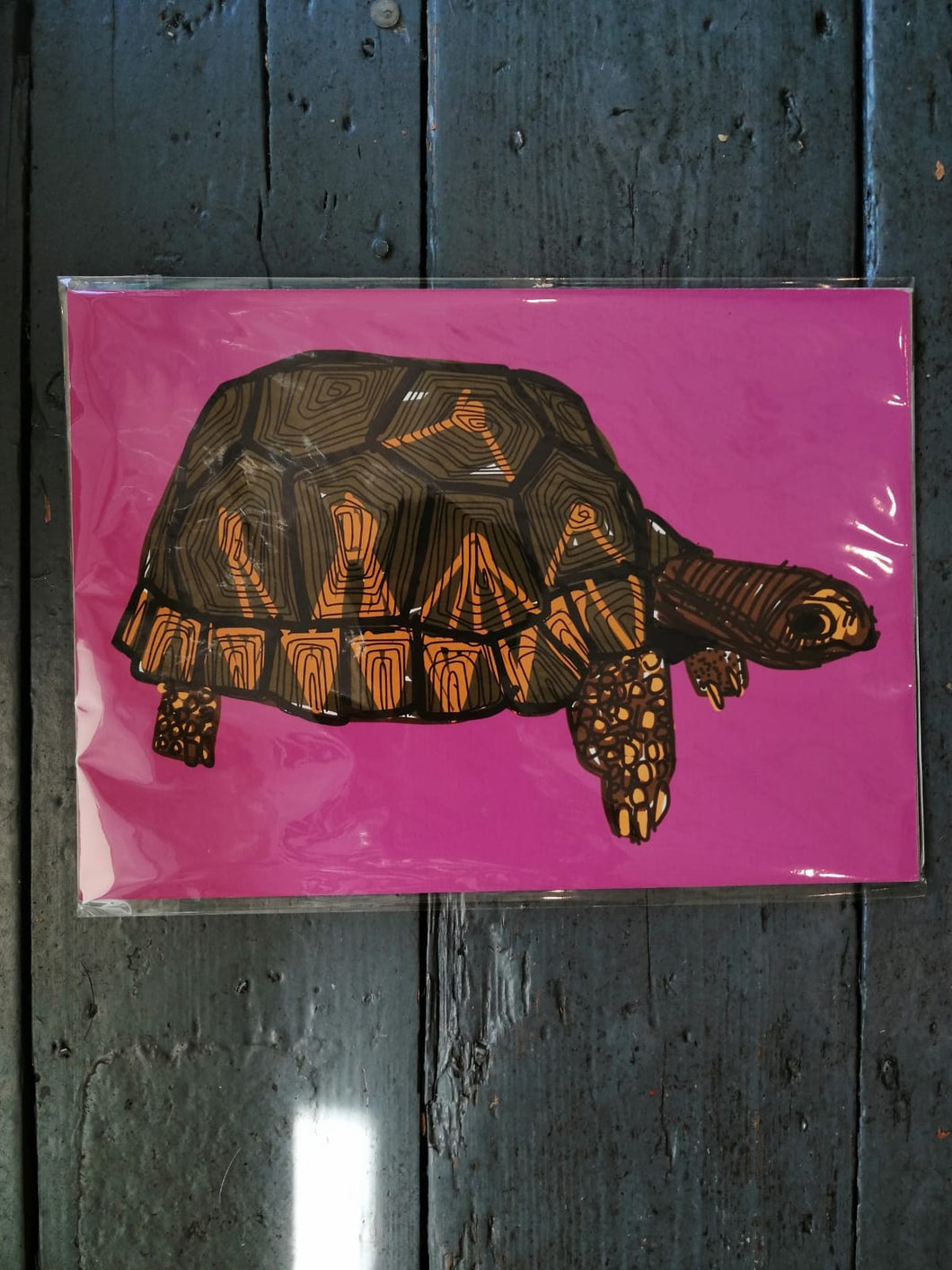 Tortoise (Pink) Digital Print - A4