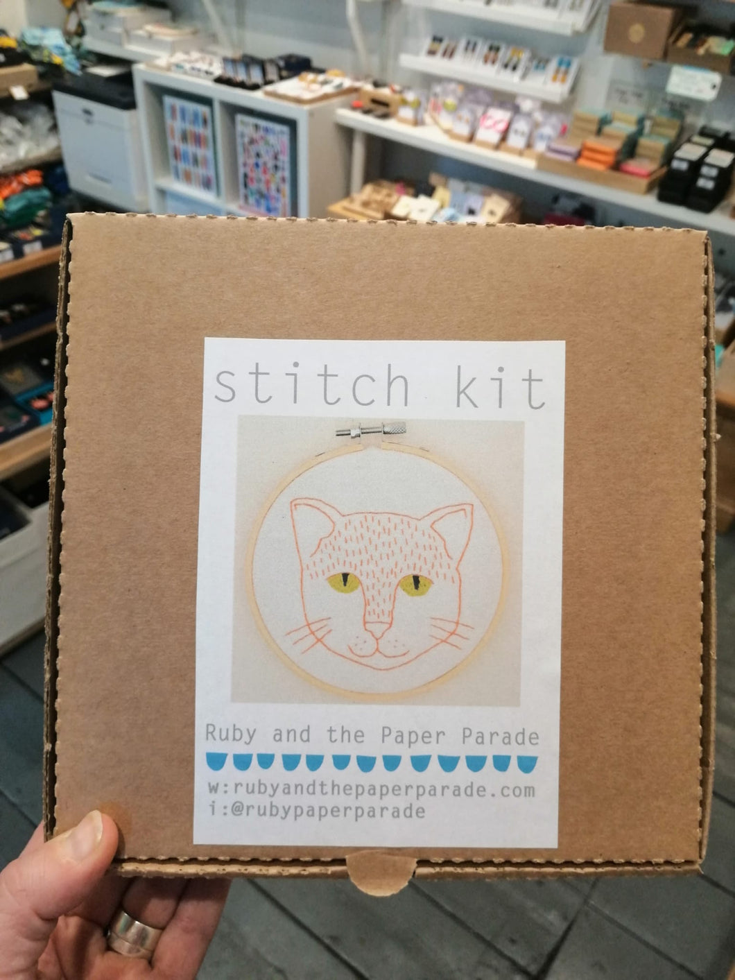 Ginger cat stitch kit